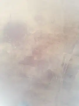 0023doja online show from 10/10/25, 11:26