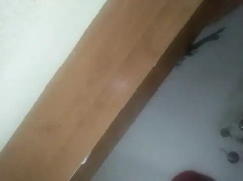 pasivosumi18554 online show from 02/18/26, 11:22