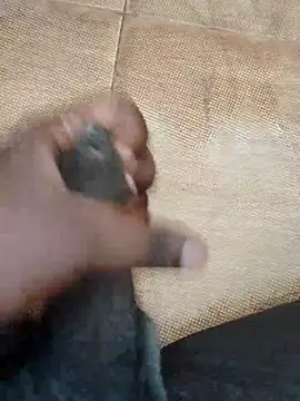 Snapshot of Saikishore00000 chatting on 09/15/25, 08:25 Saikishore00000 online show from 09/15/25, 08:25