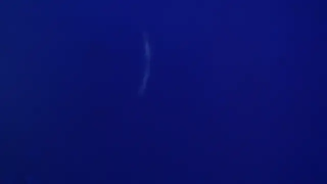 The1BBC online show from 02/12/26, 04:13