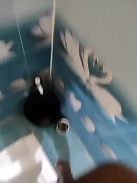 Telugu person12 online show from 11/12/25, 04:51