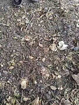 Telugu person12 online show from 01/14/26, 07:58