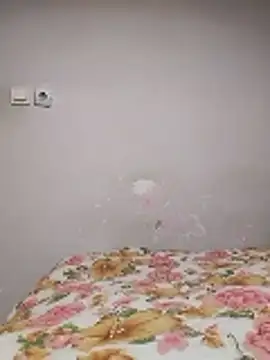 nihattttttttttttttt online show from 01/08/26, 07:49