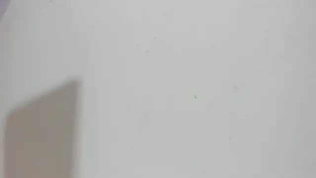 Sophia Ebony online show from 05/15/26, 12:12