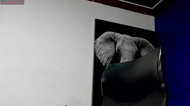 king falconer online show from 11/17/25, 01:44