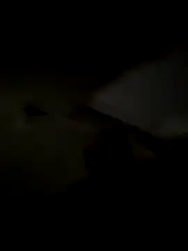 freedmar online show from 11/05/25, 11:32