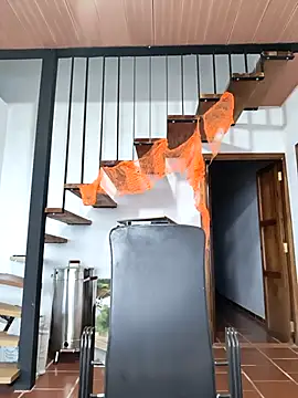 Snapshot of Hiroshi_Shen chatting on 11/05/25, 11:21 Hiroshi Shen online show from 11/05/25, 11:21