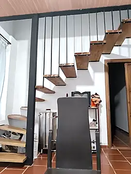 Snapshot of Hiroshi_Shen chatting on 11/17/25, 11:27 Hiroshi Shen online show from 11/17/25, 11:27