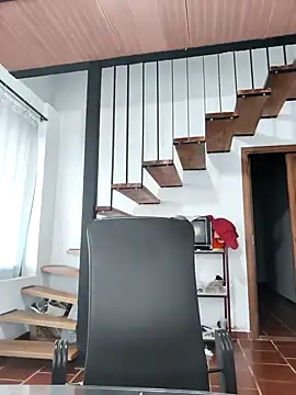 Snapshot of Hiroshi_Shen chatting on 11/19/25, 11:10 Hiroshi Shen online show from 11/19/25, 11:10