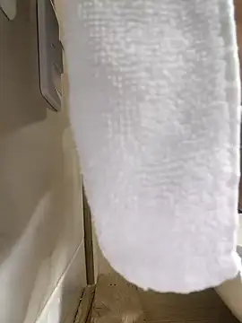 Snapshot of Hiroshi_Shen chatting on 11/27/25, 11:23 Hiroshi Shen online show from 11/27/25, 11:23