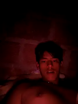 Snapshot of Hiroshi_Shen chatting on 04/04/26, 03:49 Hiroshi Shen online show from 04/04/26, 03:49