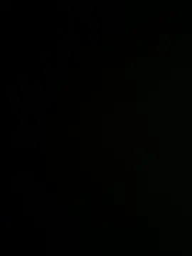 Bray9031 online show from 12/19/25, 04:58