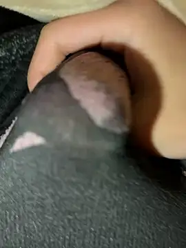 rrrrrriyyffhyeeee online show from 02/16/26, 12:29