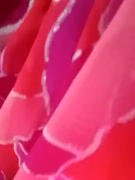 kittu0987 online show from 02/09/26, 05:00