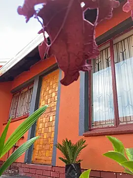 BaggyDirt online show from 02/24/26, 06:44