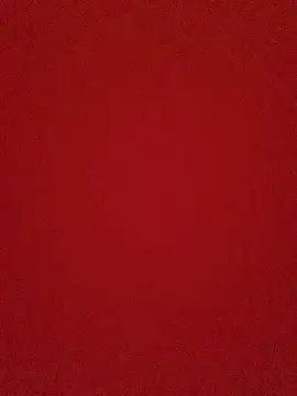 May125 online show from 04/12/26, 02:27