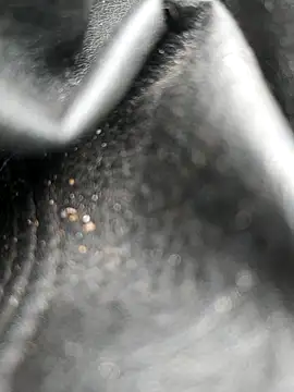 Snapshot of legaros chatting on 10/19/25, 08:04 legaros online show from 10/19/25, 08:04