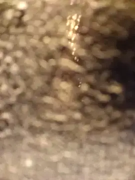 Snapshot of Venessa chatting on 12/05/25, 01:14 Venessa online show from 12/05/25, 01:14