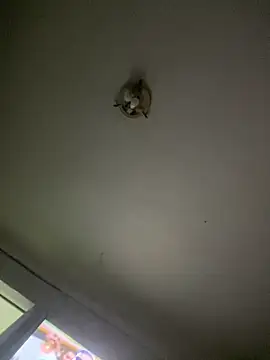 Isabelaa  online show from 03/28/26, 03:28