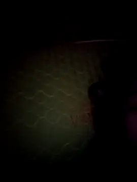 daisylouis online show from 05/02/26, 02:55