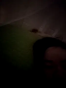 daisylouis online show from 05/07/26, 06:41