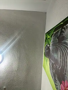 aavrdvh33 online show from 02/03/26, 10:26