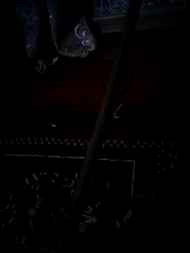 elik555 online show from 11/12/25, 08:30