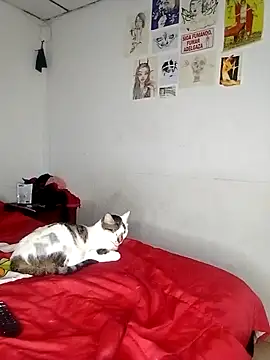 venusobryan 55 online show from 09/18/25, 11:07