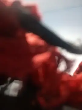 Snapshot of b_ele chatting on 09/30/25, 10:20 b ele online show from 09/30/25, 10:20