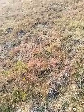 coocon2020 online show from 11/16/25, 02:39