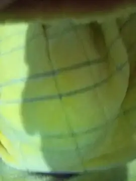 Hnonasix89 online show from 11/24/25, 01:33