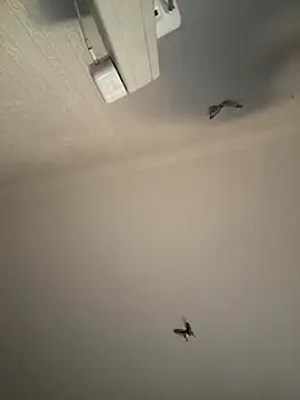 AroraAngel online show from 03/07/26, 09:56