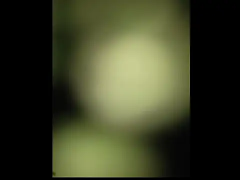 sobit1234 online show from 10/18/25, 06:52