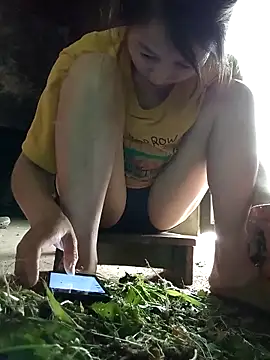 spsale online show from 04/12/26, 05:34