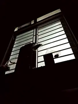 spsale online show from 04/16/26, 09:50