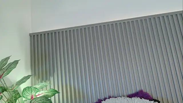 Celeste Presstigge online show from 11/24/25, 11:26