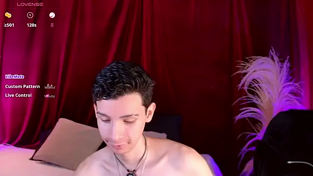 Snapshot of VicenteFerrer chatting on 06/21/26, 02:08 VicenteFerrer online show from 06/21/26, 02:08