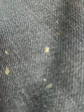 Narckse online show from 09/15/25, 07:30