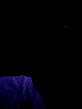 Thoma9034 online show from 10/23/25, 03:17