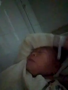 VangLe73 online show from 12/22/25, 10:51