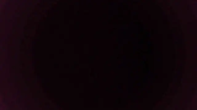 sakuradelreina online show from 12/15/25, 04:06