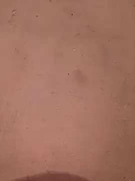 sakshi5533 online show from 11/28/25, 07:27