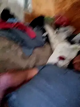 Snapshot of alber907 chatting on 02/04/26, 12:33 alber907 online show from 02/04/26, 12:33