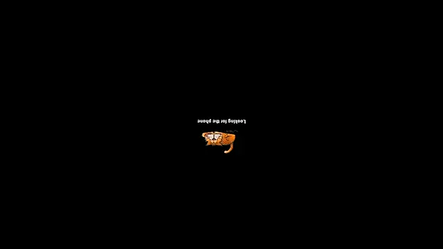 pecsblack888 online show from 09/29/25, 06:46