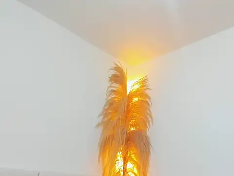 Snapshot of Kieran_kian chatting on 02/14/26, 12:29 Kieran kian online show from 02/14/26, 12:29