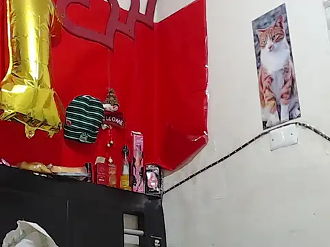 Npga96 online show from 02/20/26, 06:59