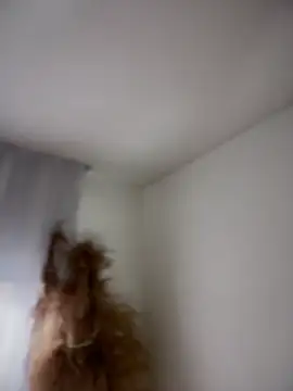 Sofi Leal online show from 03/05/26, 12:12