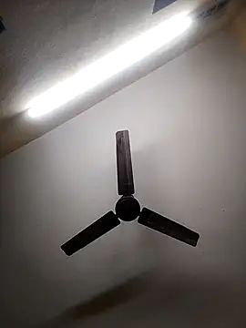 Devi-with-Ram online show from 10/07/25, 05:48