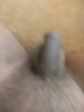 Snapshot of King_Raj99 chatting on 10/18/25, 10:49 King Raj99 online show from 10/18/25, 10:49