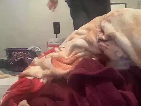 MarlonGuz online show from 04/21/26, 12:56